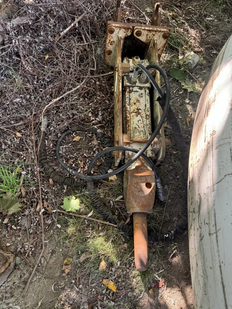 bobcat — photo 2 of 3