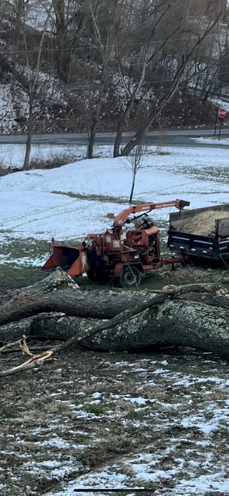 12 inch bandit disk chipper — photo 3 of 3