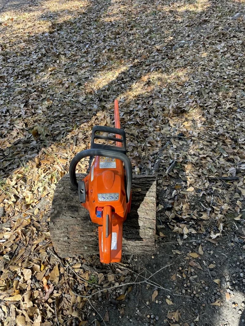 Chainsaw — photo 2 of 3