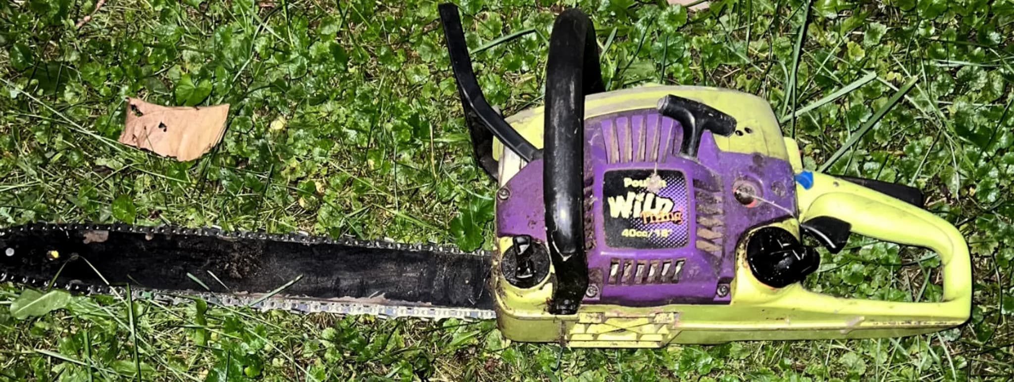 Chainsaw — photo 2 of 3