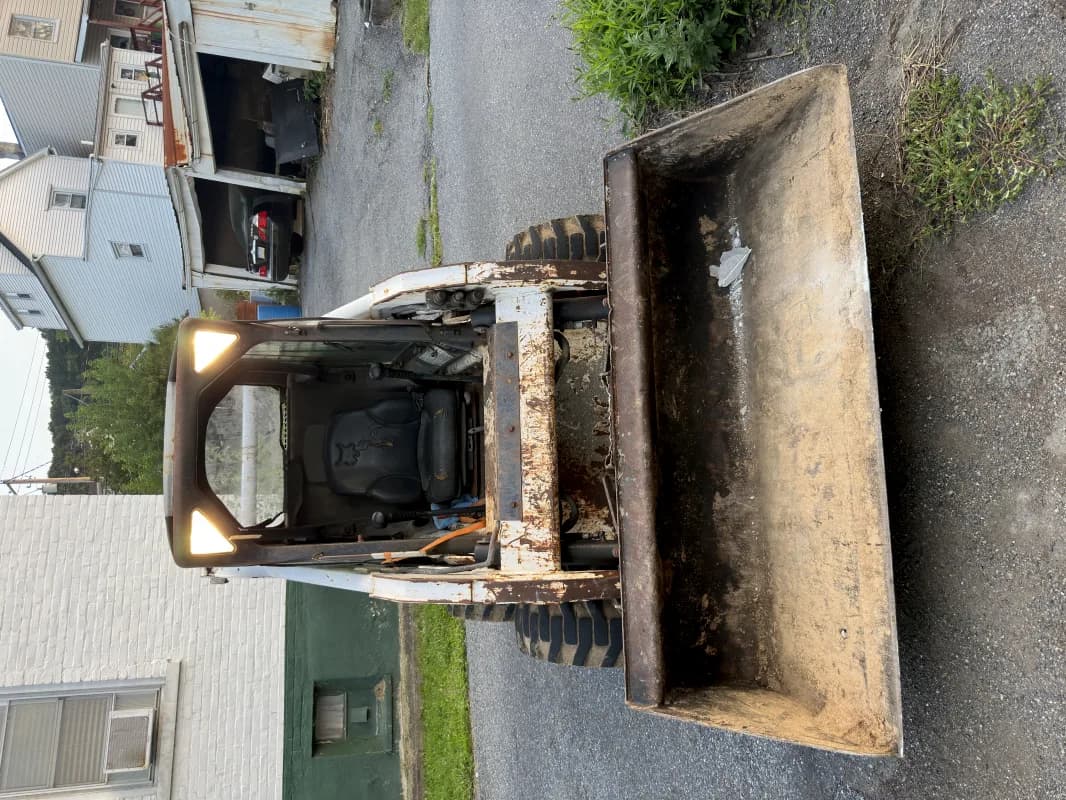Bobcat — photo 3 of 7