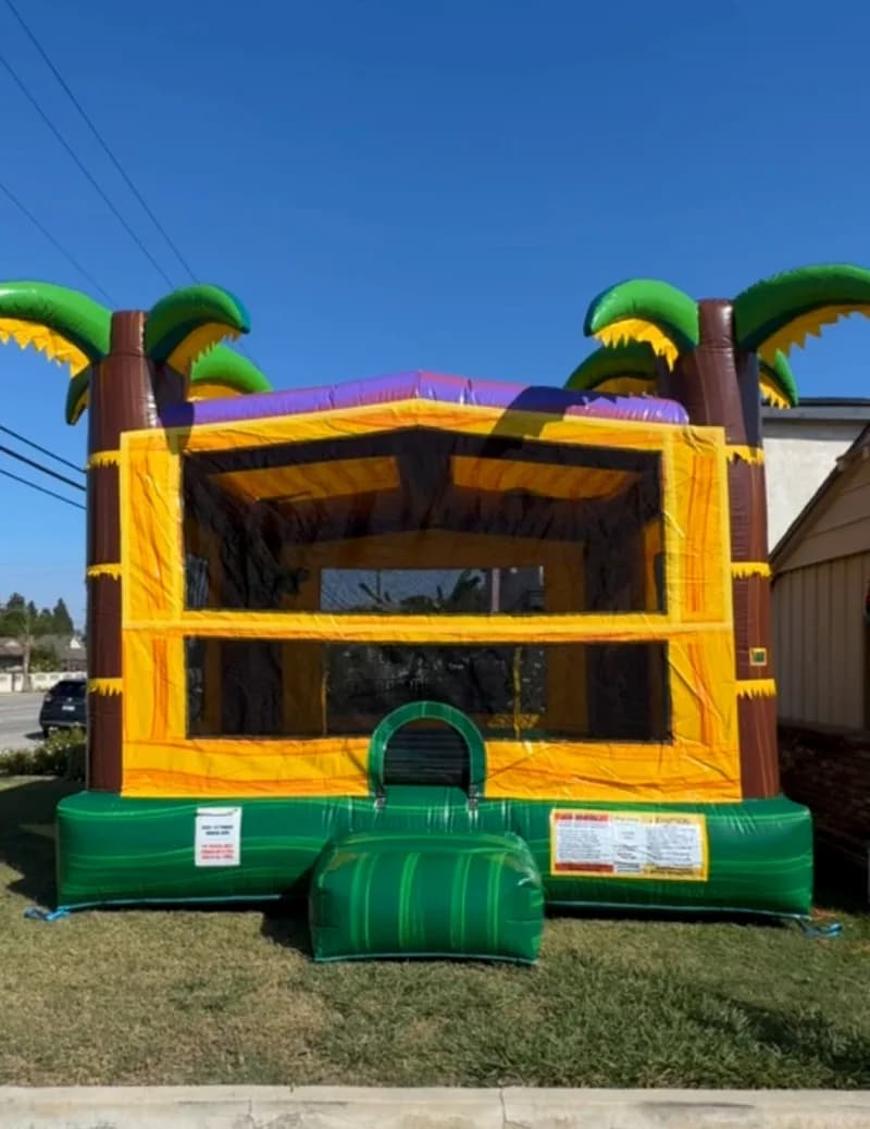 Bouncy Toes LLC. — photo 5 of 6