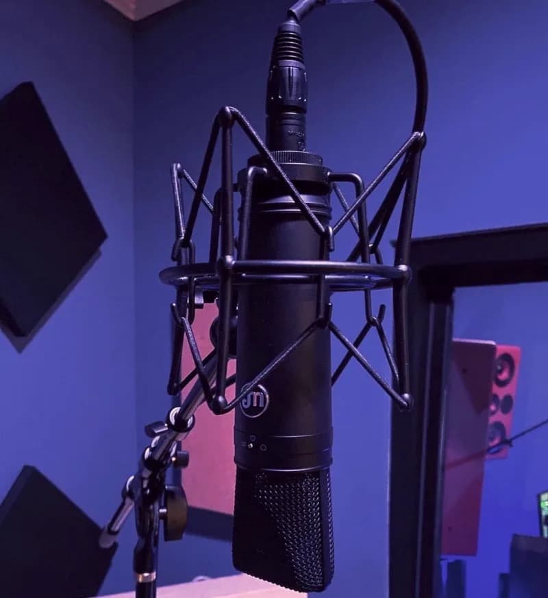 Warm Audio WA-87 Large Diaphragm Condenser Microphone — photo 3 of 3