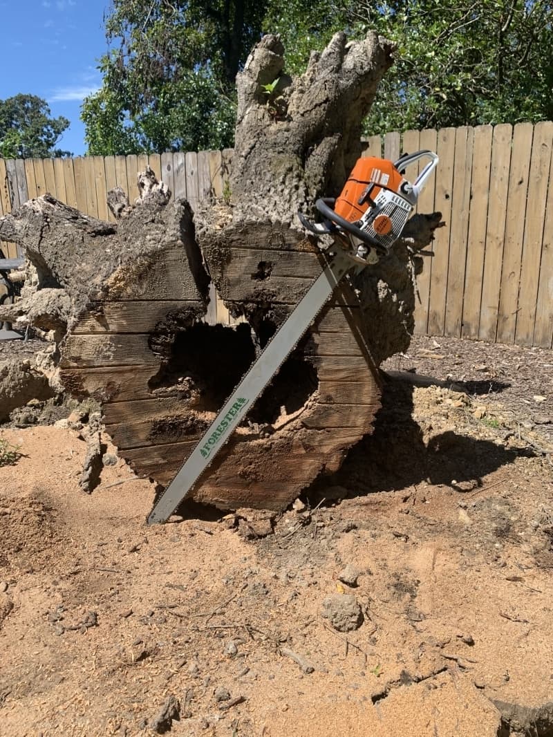 Stihl MS661 chainsaw
