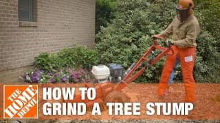 How To Grind A Tree Stump | The Home Depot
