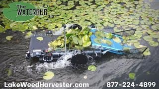 WaterBug Remote Control Harvester | The WaterBug Explained in Under 2 Minutes!