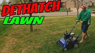 Dethatching A Lawn With Bluebird Power Rake