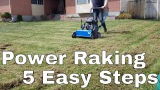 5 Steps DIY How to Power rake or De Thatch your lawn